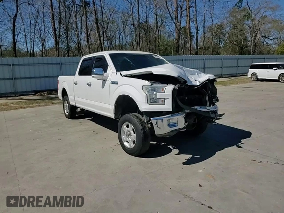 2015 Ford F-150 XLT with VIN 1FTFW1EF6FFB28860, listed as a Copart auction lot 49393345 with 147,635 mi miles and Salvage Title. Bid and sale history available at carsss.com. Image 13.