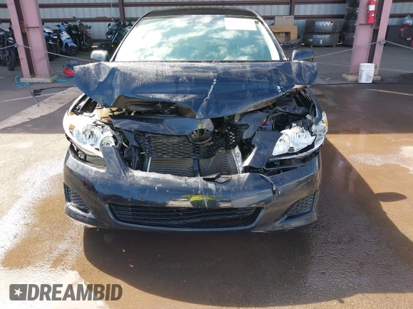 2009 Toyota Corolla with VIN 1NXBU40EX9Z092025, listed as a IAAI auction lot 41529599 with Not Provided miles. Bid and sale history available at carsss.com. Image 12.