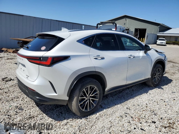 2023 Lexus NX with VIN JTJAGCEZ6P5004783, listed as a Copart auction lot 50162334 with 14,064 mi miles. Bid and sale history available at carsss.com. Image 3.