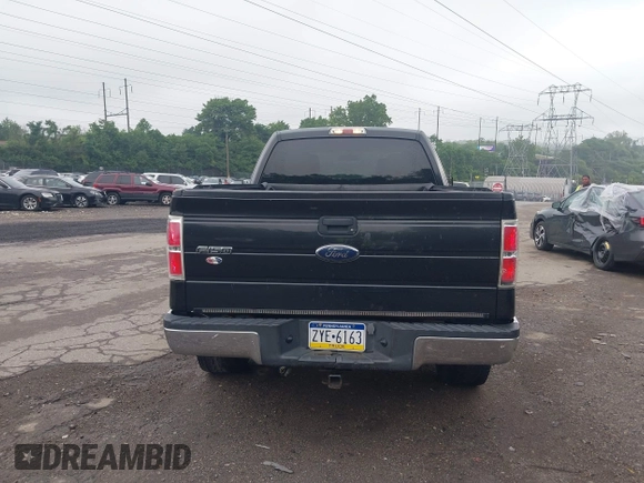 2010 Ford F-150 XL with VIN 1FTEX1C80AFA52185, listed as a IAAI auction lot 42526982 with 223,564 mi miles and . Bid and sale history available at DreamBid. Image 17.