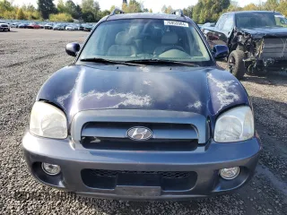 2005 Hyundai Santa Fe GLS with VIN KM8SC73E95U936274, listed as a Copart auction lot 76955984 with 166,437 mi miles and Salvage Title. Bid and sale history available at carsss.com. Image 5.