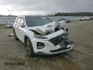 2019 Hyundai Santa Fe Ultimate with VIN 5NMS5CAA1KH073559, listed as a Copart auction lot 46430165 with 0 mi miles and Salvage Title. Bid and sale history available at carsss.com. Image 11.