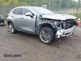 2025 Lexus NX 350h Premium with VIN JTJGKCEZ2S2054535, listed as a IAAI auction lot 42300774 with 2,612 mi miles and . Bid and sale history available at DreamBid. Image 1.