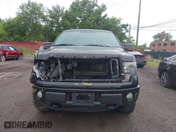 2013 Ford F-150 XL z VIN 1FTFW1EF2DFC52279, wystawiony jako IAAI lot #42541080 z przebiegiem 161 469 mil mil oraz . Historia ofert i sprzedaży dostępna na DreamBid. Obrazek 12.