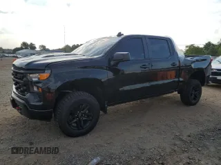 2023 Chevrolet Silverado 1500 Custom Trail Boss with VIN 3GCUDCE85PG293096, listed as a Copart auction lot 68750824 with 17,310 mi miles and Salvage Title. Bid and sale history available at carsss.com. Image 1.