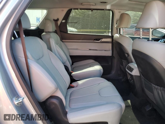 2020 Hyundai Palisade SEL with VIN KM8R4DHE9LU109343, listed as a Copart auction lot 52791105 with 51,542 mi miles and Salvage title. Bid and sale history available at DreamBid. Image 11.