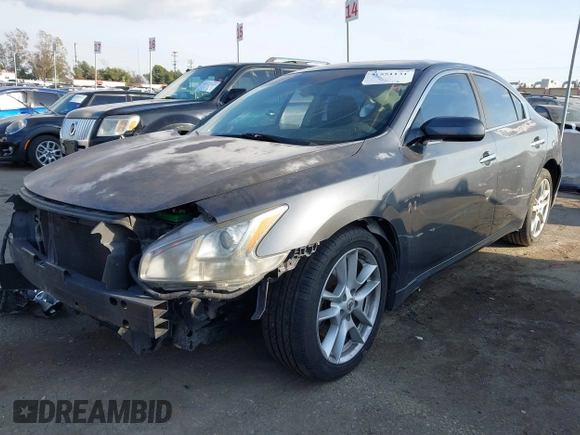 2009 Nissan Maxima SV with VIN 1N4AA51E89C827075, listed as a IAAI auction lot 41551131 with 203,304 mi miles and . Bid and sale history available at DreamBid. Image 2.