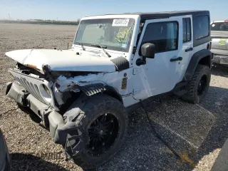 2017 Jeep Wrangler Unlimited Sport with VIN 1C4BJWDG8HL558074, listed as a Copart auction lot 49349775 with 0 mi miles and Clean Title. Bid and sale history available at carsss.com. Image 1.