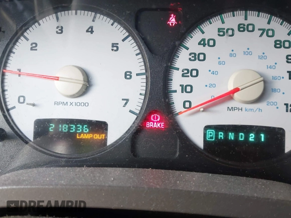 2002 Dodge 1500 with VIN 3D7HA18NX2G133388, listed as a IAAI auction lot 41805582 with 218,336 mi miles and . Bid and sale history available at DreamBid. Image 7.