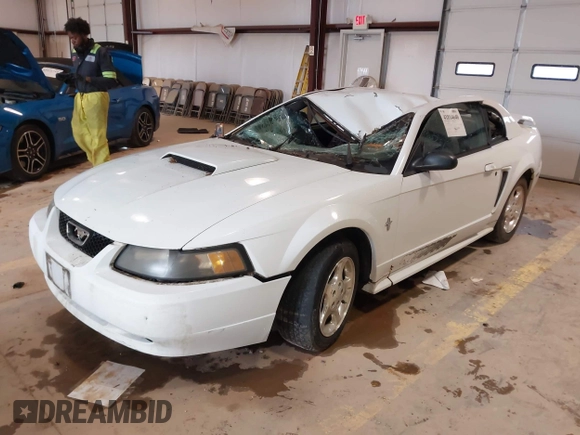 2003 Ford Mustang Standard with VIN 1FAFP40493F381211, listed as a IAAI auction lot 41814640 with 312,991 mi miles. Bid and sale history available at carsss.com. Image 2.