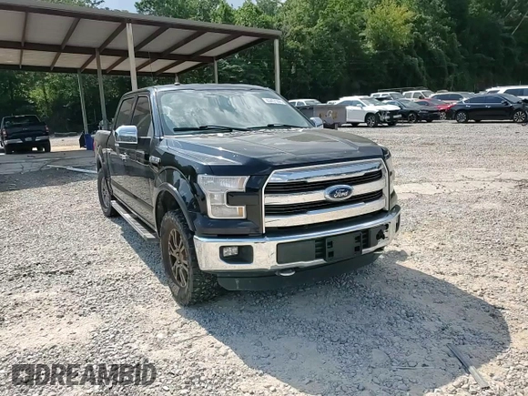 2016 Ford F-150 XLT z VIN 1FTEW1EF8GFB30428, wystawiony jako Copart lot #63451095 z przebiegiem 142 952 mil mil oraz Szkoda całkowita • Salvage title. Historia ofert i sprzedaży dostępna na DreamBid. Obrazek 13.