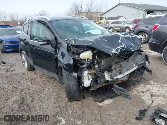2018 Ford Escape Titanium with VIN 1FMCU0J90JUD17085, listed as a IAAI auction lot 41699687 with Not provided miles and . Bid and sale history available at DreamBid. Image 1.