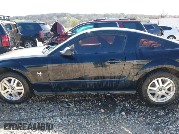 2007 Ford Mustang Deluxe with VIN 1ZVFT80N075253857, listed as a IAAI auction lot 41809040 with Not Provided miles. Bid and sale history available at carsss.com. Image 14.