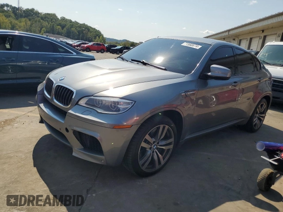 2013 BMW X6 M with VIN 5YMGZ0C5XDLL29831, listed as a Copart auction lot 71560674 with 116,849 mi miles and Salvage Title. Bid and sale history available at carsss.com. Image 1.