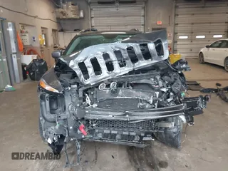 2016 Jeep Cherokee Trailhawk with VIN 1C4PJMBS2GW309042, listed as a IAAI auction lot 41564925 with 125,436 mi miles. Bid and sale history available at carsss.com. Image 13.
