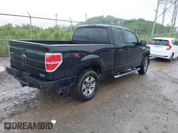 2013 Ford F-150 XL with VIN 1FTFX1EF7DFB34130, listed as a IAAI auction lot 42340765 with 266,185 mi miles and . Bid and sale history available at DreamBid. Image 4.