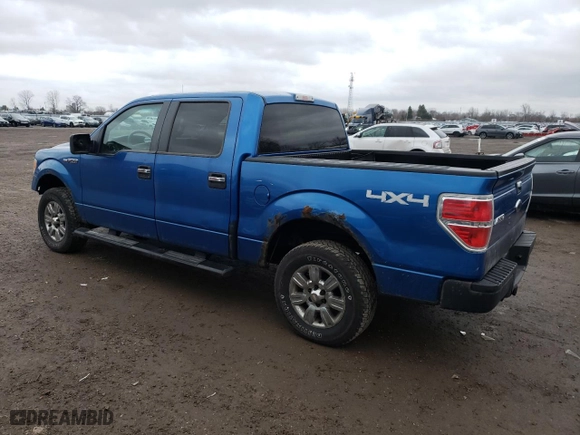 2009 Ford F-150 XL with VIN 1FTRW14869FA16788, listed as a Copart auction lot 50328795 with 307,921 mi miles and Clean Title. Bid and sale history available at carsss.com. Image 2.