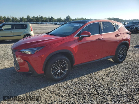 2025 Lexus NX 350h Luxury with VIN JTJHKCEZ6S2045132, listed as a Copart auction lot 73509094 with 8,709 mi miles and Salvage title. Bid and sale history available at DreamBid. Image 1.