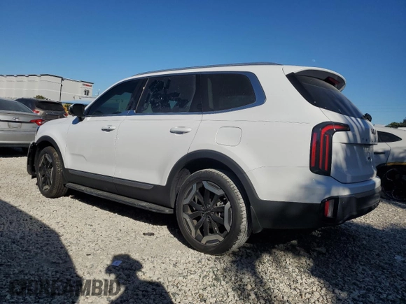 2024 Kia Telluride EX with VIN 5XYP34GC9RG564038, listed as a Copart auction lot 87789455 with 3,922 mi miles and Salvage Title. Bid and sale history available at DreamBid. Image 2.