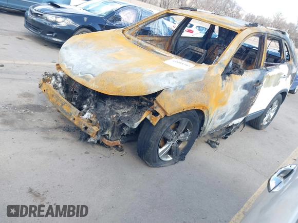 2013 Kia Sorento EX with VIN 5XYKU3A69DG318443, listed as a IAAI auction lot 41804384 with Not Provided miles. Bid and sale history available at carsss.com. Image 2.