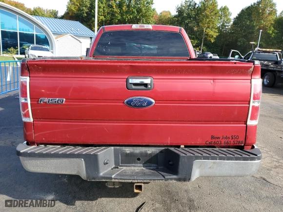 2009 Ford F-150 STX with VIN 1FTRX14829FA98502, listed as a Copart auction lot 74536794 with 180,188 mi miles and Clean Title. Bid and sale history available at carsss.com. Image 6.