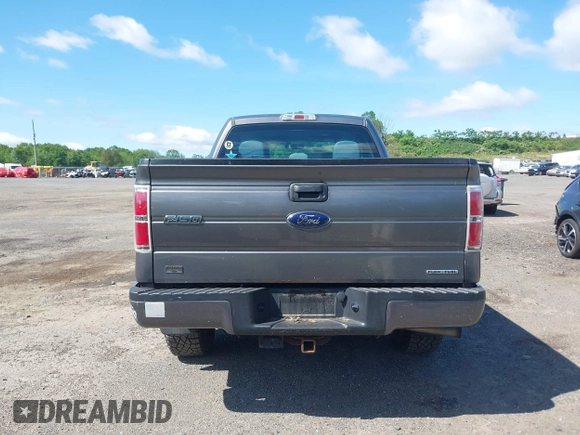 2013 Ford F-150 XL with VIN 1FTEX1EM9DFC99848, listed as a IAAI auction lot 42297022 with 175,466 mi miles and . Bid and sale history available at DreamBid. Image 16.