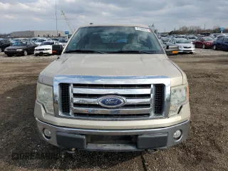 2009 Ford F-150 XL with VIN 1FTPX14V69FA21581, listed as a Copart auction lot 51486855 with 220,335 mi miles and Clean Title. Bid and sale history available at carsss.com. Image 5.