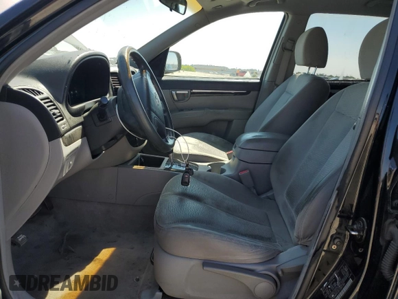 2007 Hyundai Santa Fe GLS with VIN 5NMSG13D17H047184, listed as a Copart auction lot 64818625 with 269,701 mi miles and Clean title. Bid and sale history available at DreamBid. Image 7.