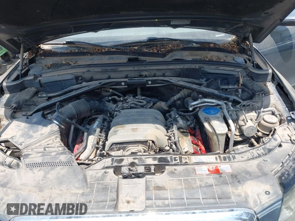 2010 Audi Q5 Premium Plus with VIN WA1LKAFP7AA074944, listed as a IAAI auction lot 42776108 with 186,895 mi miles and . Bid and sale history available at DreamBid. Image 10.