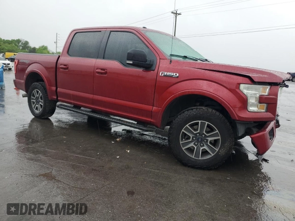 2016 Ford F-150 XLT with VIN 1FTEW1EF4GFA35428, listed as a Copart auction lot 53886725 with 257,484 mi miles and Salvage Title. Bid and sale history available at carsss.com. Image 4.