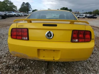 2006 Ford Mustang Standard with VIN 1ZVFT80N065127934, listed as a Copart auction lot 51987095 with Not Provided miles and Salvage Title. Bid and sale history available at carsss.com. Image 6.