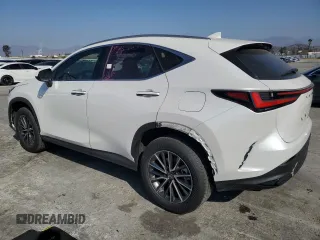 2024 Lexus NX 250 with VIN JTJADCAZXR5016226, listed as a Copart auction lot 43197805 with 17,640 mi miles and Salvage title. Bid and sale history available at DreamBid. Image 2.