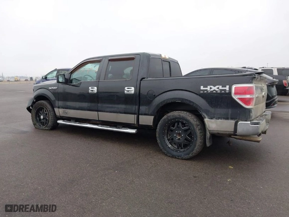 2013 Ford F-150 XL with VIN 1FTFW1EF8DFC42906, listed as a IAAI auction lot 41717982 with 178,821 mi miles. Bid and sale history available at carsss.com. Image 14.