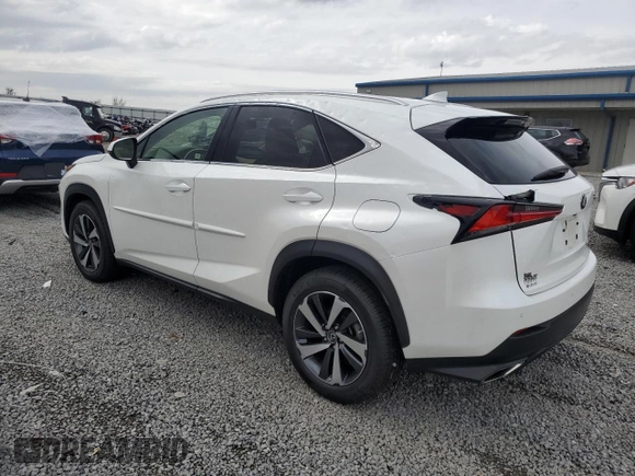 2020 Lexus NX 300 with VIN JTJGARDZ0L2218308, listed as a Copart auction lot 51863955 with 44,156 mi miles and Salvage Title. Bid and sale history available at DreamBid. Image 2.