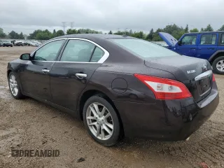 2010 Nissan Maxima SV with VIN 1N4AA5AP6AC805386, listed as a Copart auction lot 58983035 with 210,062 mi miles and Salvage title. Bid and sale history available at DreamBid. Image 2.