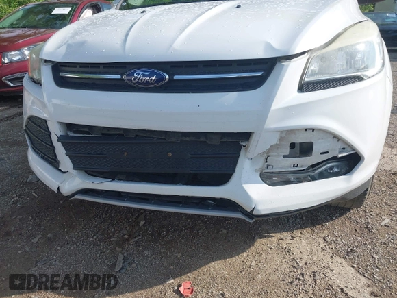 2014 Ford Escape SE with VIN 1FMCU9G92EUB32926, listed as a IAAI auction lot 42273922 with 172,193 mi miles and . Bid and sale history available at DreamBid. Image 6.