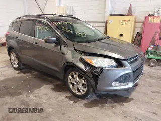 2013 Ford Escape SE with VIN 1FMCU0G90DUD49580, listed as a IAAI auction lot 41853387 with 132,685 mi miles. Bid and sale history available at carsss.com. Image 1.
