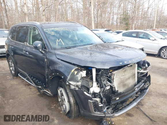 2021 Kia Telluride EX with VIN 5XYP3DHC8MG192246, listed as a IAAI auction lot 41596976 with 94,420 mi miles and . Bid and sale history available at DreamBid. Image 6.