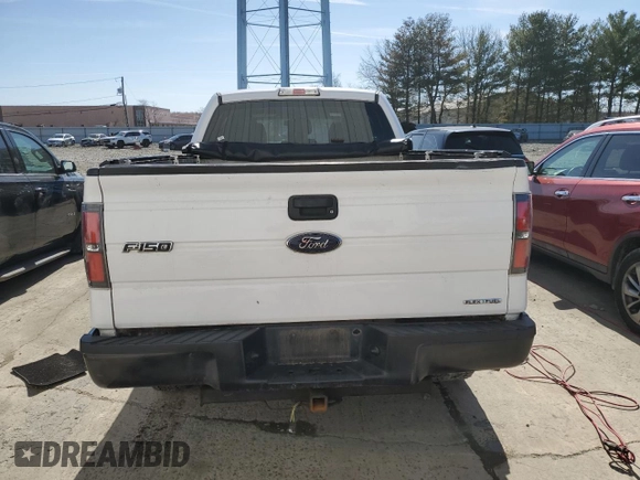 2014 Ford F-150 XL with VIN 1FTEX1EM1EKE25774, listed as a Copart auction lot 49317895 with 220,177 mi miles and Salvage Title. Bid and sale history available at carsss.com. Image 6.