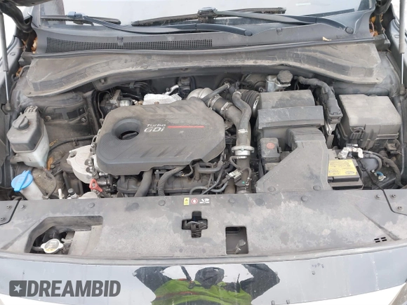 2019 Hyundai Santa Fe Ultimate with VIN 5NMS5CAA8KH019109, listed as a IAAI auction lot 41120391 with 101,829 mi miles and . Bid and sale history available at DreamBid. Image 10.