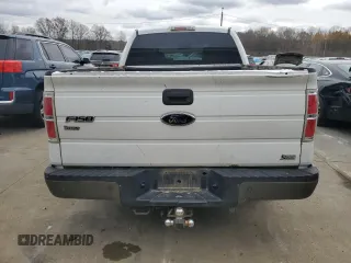 2010 Ford F-150 XL with VIN 1FTFX1CV6AKA84169, listed as a Copart auction lot 81760144 with 281,005 mi miles and Salvage Title. Bid and sale history available at carsss.com. Image 6.