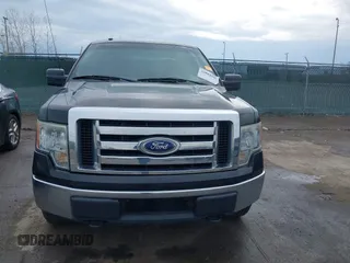 2010 Ford F-150 XL with VIN 1FTEX1E85AFB06495, listed as a IAAI auction lot 42082090 with 161,418 mi miles. Bid and sale history available at carsss.com. Image 12.