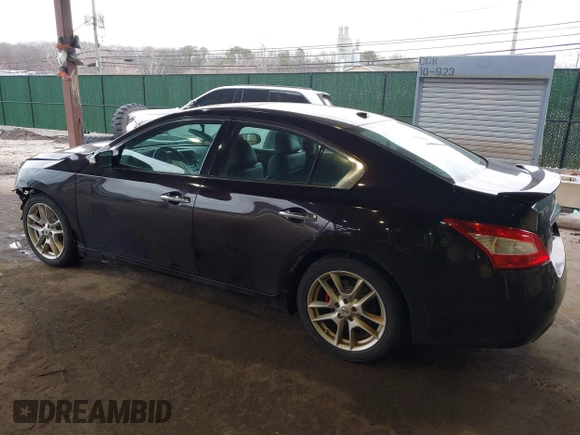 2011 Nissan Maxima 3.5 SV with VIN 1N4AA5AP5BC833715, listed as a IAAI auction lot 41676162 with 192,329 mi miles. Bid and sale history available at carsss.com. Image 3.