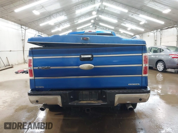 2011 Ford F-150 XL with VIN 1FTFX1EF6BFD23994, listed as a IAAI auction lot 42674852 with 182,118 mi miles and . Bid and sale history available at DreamBid. Image 16.