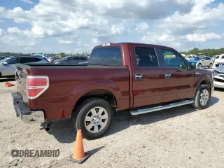 2010 Ford F-150 XL with VIN 1FTEW1C87AFD03660, listed as a Copart auction lot 53925855 with 252,174 mi miles and Clean Title. Bid and sale history available at DreamBid. Image 3.