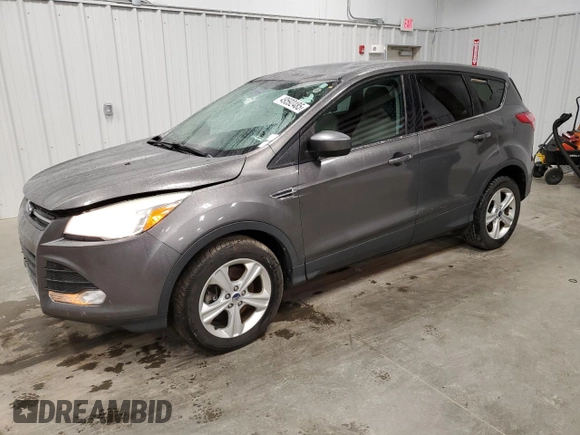 2014 Ford Escape SE with VIN 1FMCU9G97EUB81099, listed as a Copart auction lot 49592485 with 76,699 mi miles and Salvage Title. Bid and sale history available at carsss.com. Image 1.