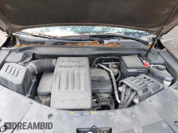 2010 Chevrolet Equinox 2LT with VIN 2CNALPEW7A6270476, listed as a IAAI auction lot 42231380 with 185,726 mi miles and . Bid and sale history available at DreamBid. Image 10.