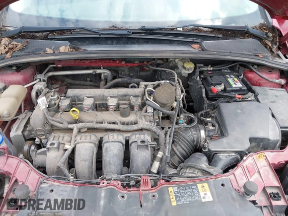 2014 Ford Focus SE with VIN 1FADP3K26EL412058, listed as a IAAI auction lot 42073435 with 119,568 mi miles. Bid and sale history available at carsss.com. Image 10.
