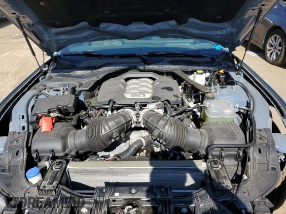 2024 Ford Mustang GT Premium with VIN 1FAGP8FF6R5100632, listed as a Copart auction lot 56425544 with Not provided miles and Clean title. Bid and sale history available at DreamBid. Image 11.