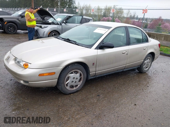 2002 Saturn SL with VIN 1G8ZK52732Z274875, listed as a IAAI auction lot 41911548 with 266,181 mi miles. Bid and sale history available at carsss.com. Image 2.